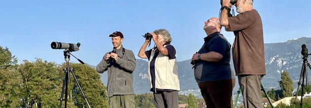 Birdwatch