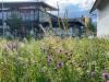 bot